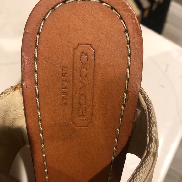 Coach - Picture 6 of 7